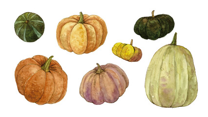 水彩 かぼちゃの収穫セット