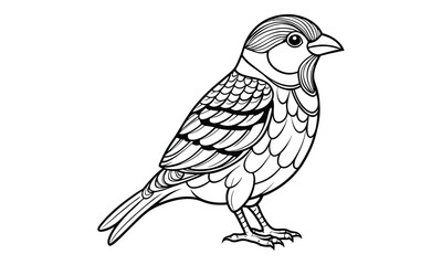 Fototapeta premium Decorative Sparrow vector silhouette and line art t shirt design, detailed illustration for adult coloring, meditation art therapy, stress relief drawing, and printable creative artwork.