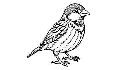Obraz premium Decorative Sparrow vector silhouette and line art t shirt design, detailed illustration for adult coloring, meditation art therapy, stress relief drawing, and printable creative artwork.