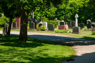 A peaceful cemetery features various gravestones surrounded by lush greenery and trees, creating a...