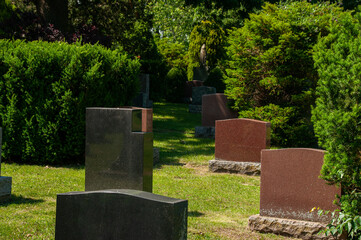 Tranquil cemetery with polished gravestones surrounded by lush green bushes under bright sunlight....