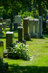 Peaceful cemetery atmosphere with aligned gravestones among vibrant greenery, symbolizing...