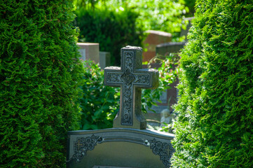 A detailed stone cross tombstone centered in a serene cemetery, surrounded by lush greenery and...