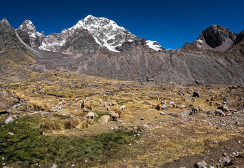 Ausangate - 7 lagunas