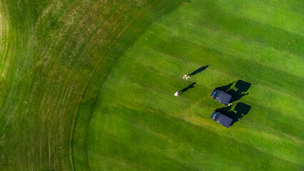 Golfers playing on lush green course on sunny day, aerial view