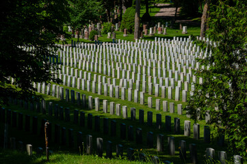 A serene cemetery with uniform headstones arranged in rows on a green lawn, evoking stillness and reflection in a tranquil environment surrounded by nature.