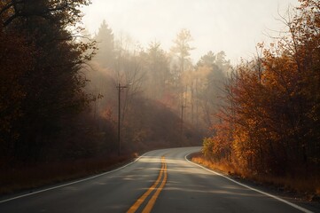 Autumn road with yellow fallen leaves