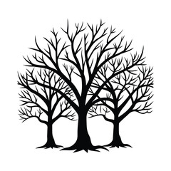 Obraz premium Silhouette of three bare trees with intricate branches against a white background