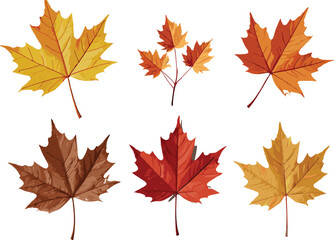 Autumn maple leaves illustration in red, orange, yellow, and brown colors, seasonal fall foliage design for decoration