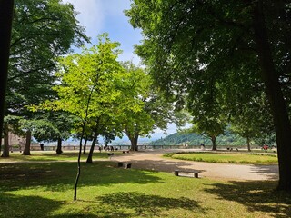 beautiful view of the park Germany