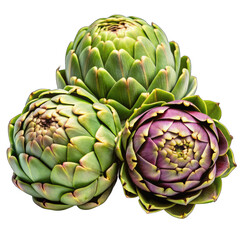 Obraz premium artichoke on green background