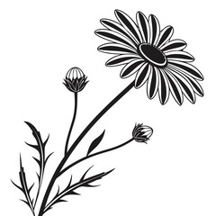 flower vector illustration