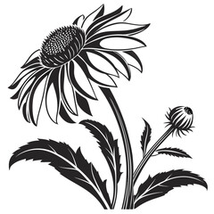 black and white flower