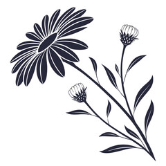 black and white flowers