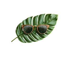 Summer vacation vibes with sunglasses on tropical leaf on a transparent background, cut out