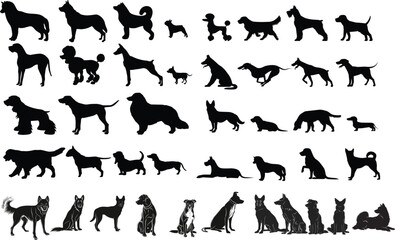 silhouettes of dogs