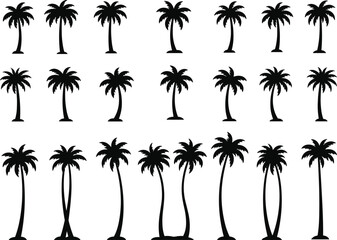 Set of various black palm tree silhouettes isolated on white background, tropical island vacation travel summer beach vector flat illustration
