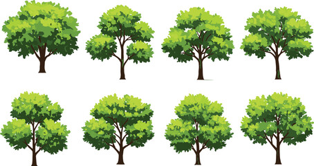 A lovely set of illustrated green trees in their full summer foliage, each with its own unique shape and character, ready to bring your designs to life