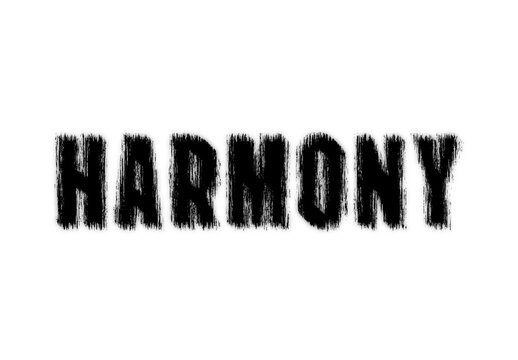 Black And White Sound Font Distortion Grunge Rough Text Effect