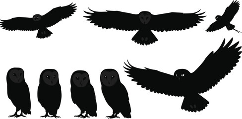 Silhouette Collection of Owls in Flight and Standing Poses, Black Owl Vector Illustration, Nocturnal Bird Wildlife Design for Art, Nature, Education, and Decoration