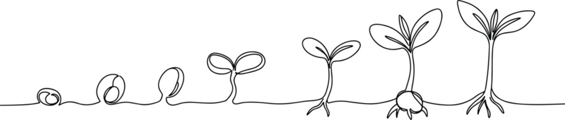 Silhouette of plant growth stages from seed to mature bloom, c, nature cycle, development, biology, agriculture