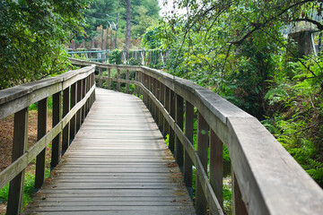 El puente
