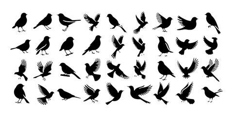 bird silhouette vector illustration, perfect for logo design, art projects, and graphic design. Diverse positions, flying, perching