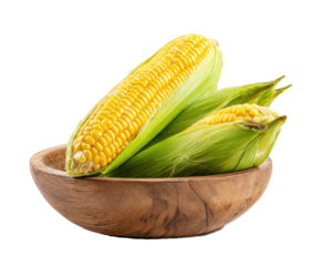 Fresh sweet corn arranged in a wooden bowl for healthy meals on a transparent background, cut out