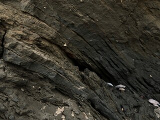 Collapse of the seashore in winter