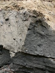 Collapse of the seashore in winter