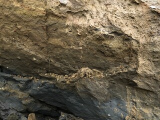 Collapse of the seashore in winter