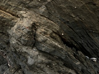 Collapse of the seashore in winter