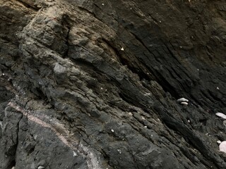 Collapse of the seashore in winter