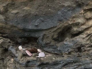 Collapse of the seashore in winter