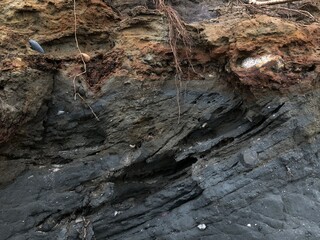 Collapse of the seashore in winter