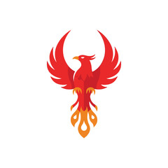phoenix bird illustration stylized design rebirth renewal.