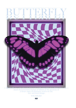 Schmetterling