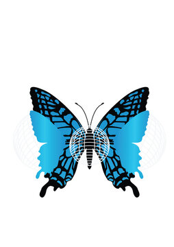 Schmetterling