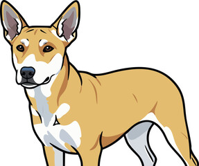 Obraz premium Australian Cattle Dog standing alert with tan and white fur vector illustration of dog breed 