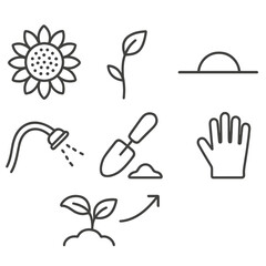 Fototapeta premium Minimalist Sunflower Icons. Outline style icons of Minimalist Sunflower: petal outline circle, seed dot matrix, graceful stem