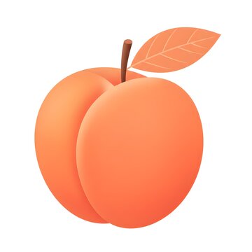 orange peach fruit with leaf clip art preview