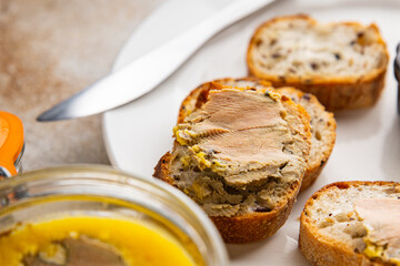 Foie gras goose liver appetizer delicacy fresh delicious gourmet food background on the table rustic food top view copy space