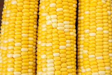 Bright yellow corn cobs stacked in rows emphasizing fresh produce at a market in fall