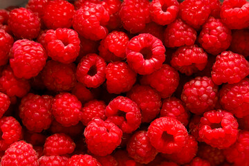 Fresh and ripe raspberries piled together for a vibrant display at a summer farmers market