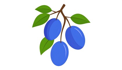 Three vibrant blue plums hang from a branch, accented by bright green leaves, against a plain white background.