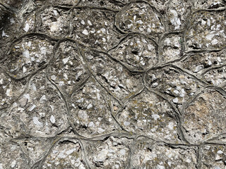 Pared hecha de concreto con textura y diseño. Fotografía hecha con el teléfono móvil. Toma...