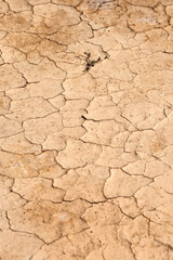 The Desert