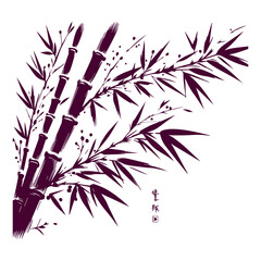 Elegant Bamboo Illustration on White