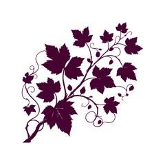 Elegant Grape Vine Leaves Silhouette Vector