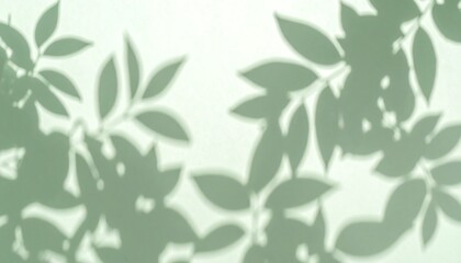 Delicate light-green leaf shadows cast gently onto a pale background create a tranquil and airy aesthetic.